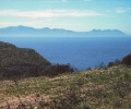 DIGITAL IMAGE