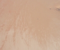 20120326-0808-p1070241