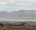 20121021-1050-kenia-tanzania-2012-012